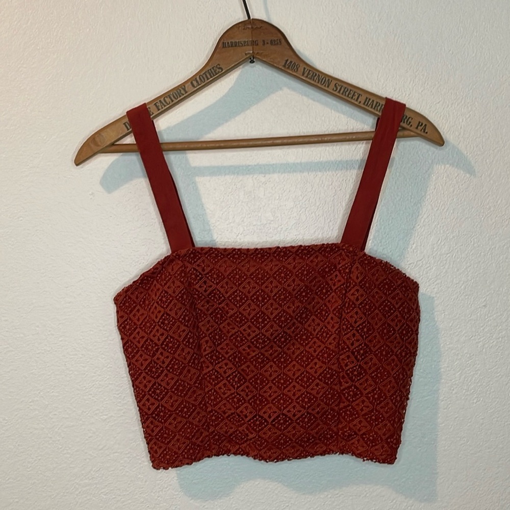 Live to Be Spoiled Rust Crop Top | L